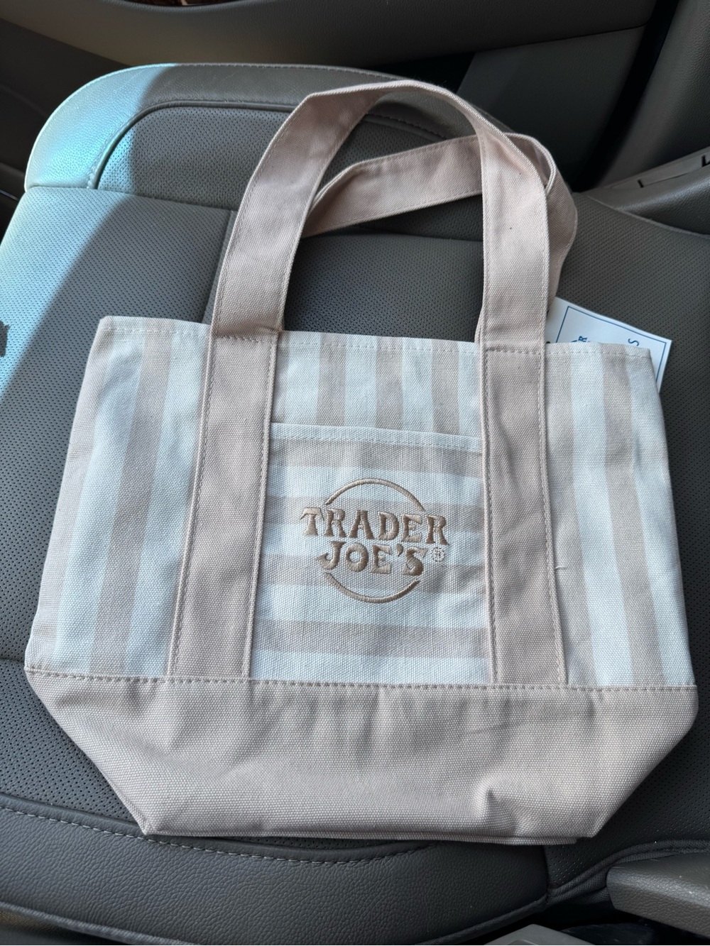 Trader Joe’s Beige Stripe Canvas mini Tote Bag